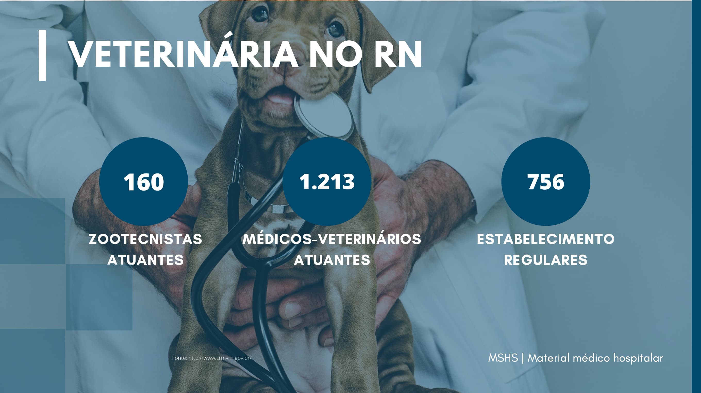 Veterinária no RN